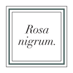 Rosa nigrum