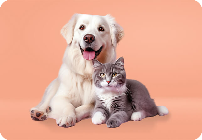 partner